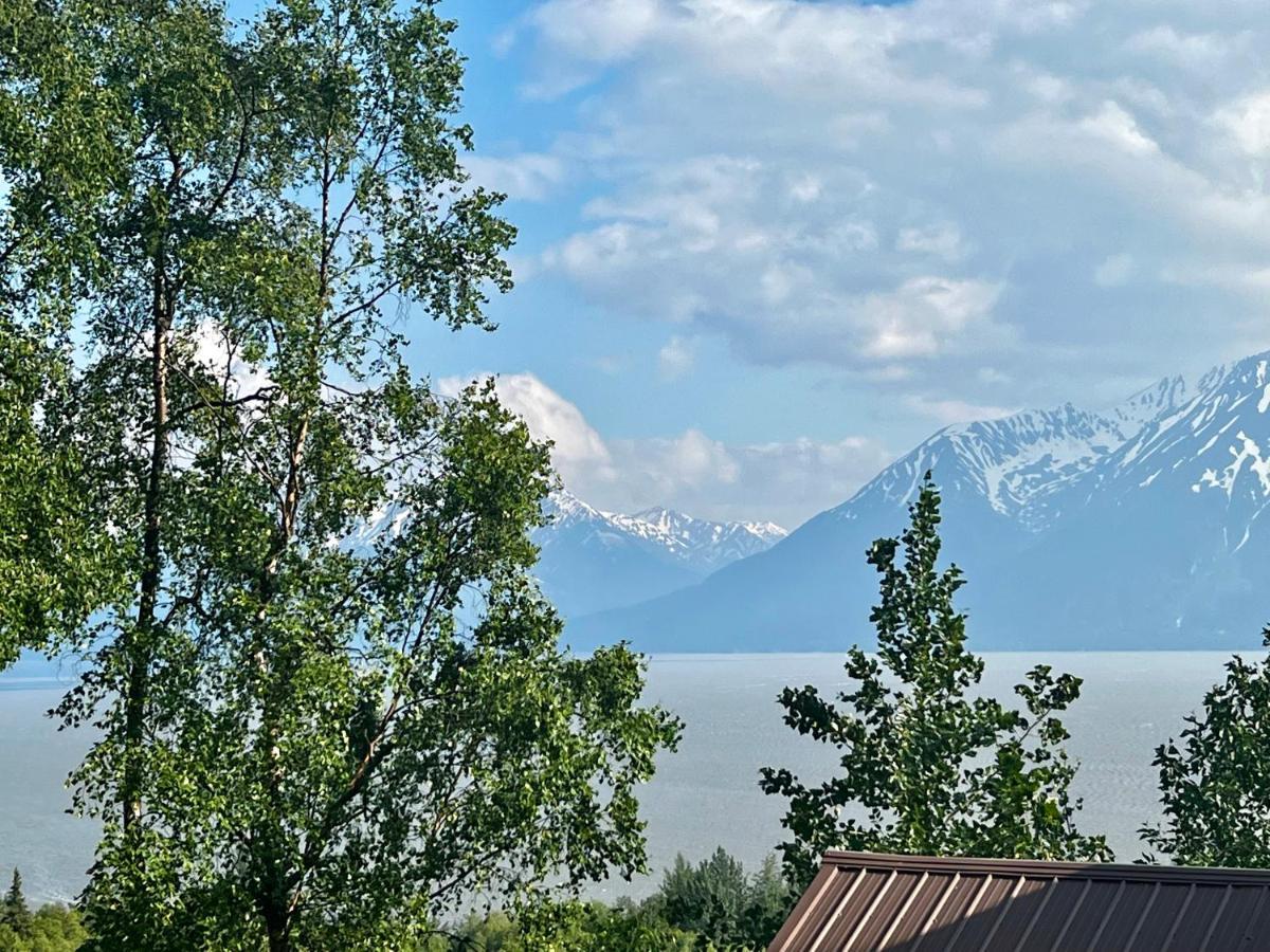 Indian Ak 25 Min To Anchorage & 25 Min To Girdwood Villa Dış mekan fotoğraf