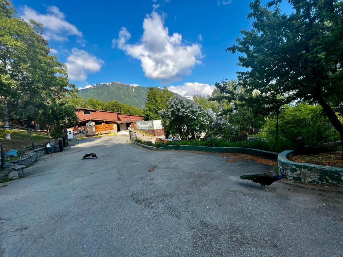 Indian Ak 25 Min To Anchorage & 25 Min To Girdwood Villa Dış mekan fotoğraf