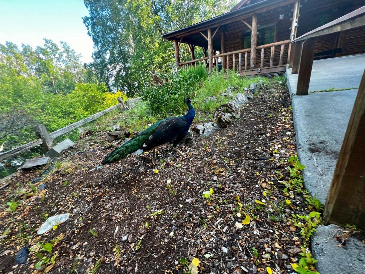 Indian Ak 25 Min To Anchorage & 25 Min To Girdwood Villa Dış mekan fotoğraf